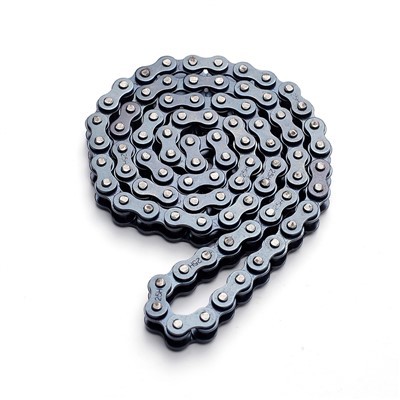 25H Roller Chain